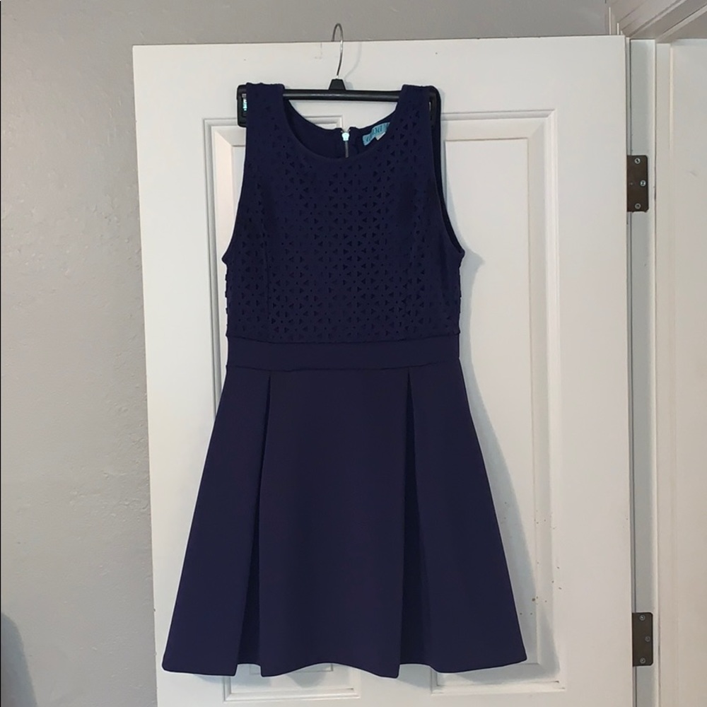 Francesca’s Alba Be Navy Flounce Dress